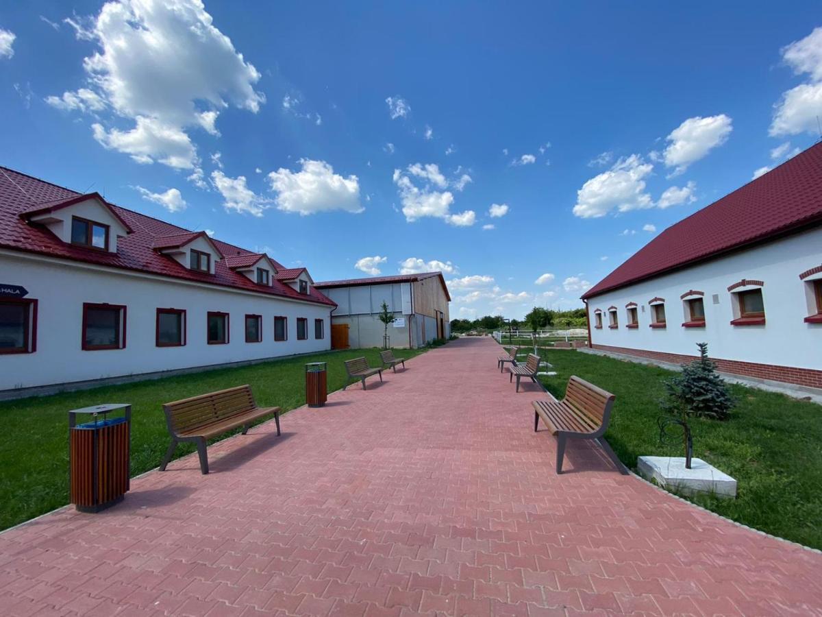 Terra Penzion Jasova Екстер'єр фото